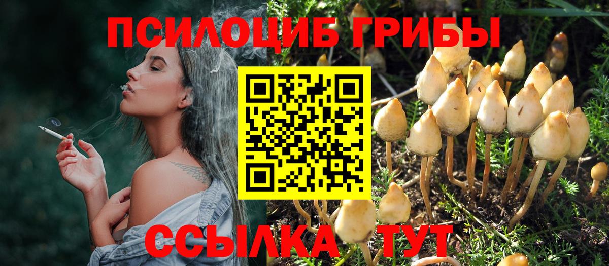 Ростов-на-Дону  Галлюциногенные грибы Cubensis  Галлюциногенные грибы MAGIC MUSHROOMS  Вход с VPN 